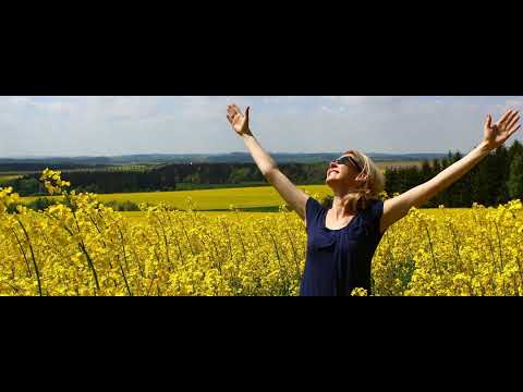 Dankbarkeit heilt …