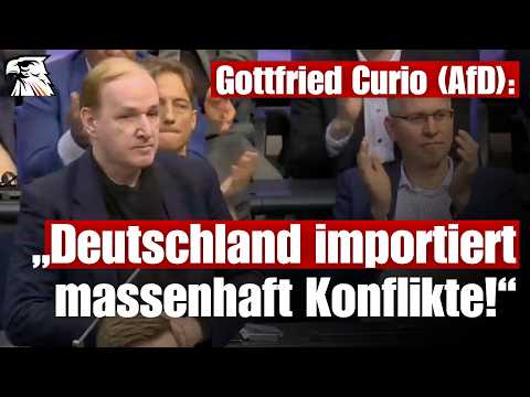 „Deutschland importiert massenhaft Konflikte!“ | Gottfried Curio (MdB | AfD-Berlin)