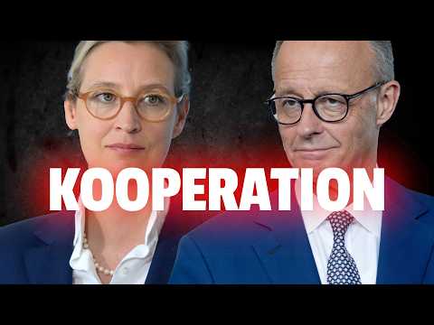 💥CDU-Abgeordnete will für Minderheitsregierung Brandmauer einreißen