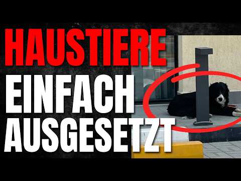💥Dubai-Influencer flüchten und lassen ihre Tiere zurück 💥Dubai-Influencer flüchten und lassen ihre Tiere zurück