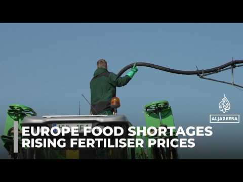 Farmers warn of food shortages in Europe: Fuel and fertiliser prices rise amid the war on Iran Farmers warn of food shortages in Europe: Fuel and fertiliser prices rise amid the war on Iran