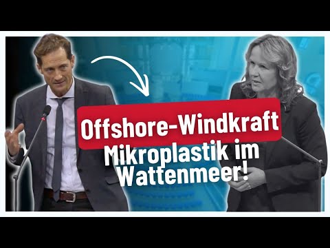 „Frau Lemke, warum schaden Sie mit Offshore-Windkraft unserem Wattenmeer?“
