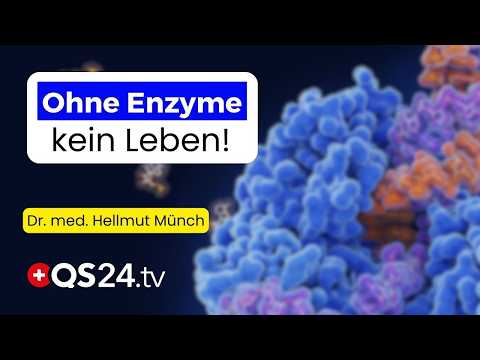 Krebs & Chronische Krankheiten: Warum dein Körper ohne Enzyme schneller krank wird | QS24