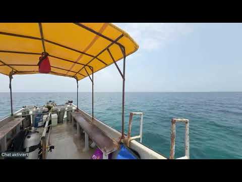 Mein 1. Tauchgang – 15.03.2026 Mein 1. Tauchgang – 15.03.2026