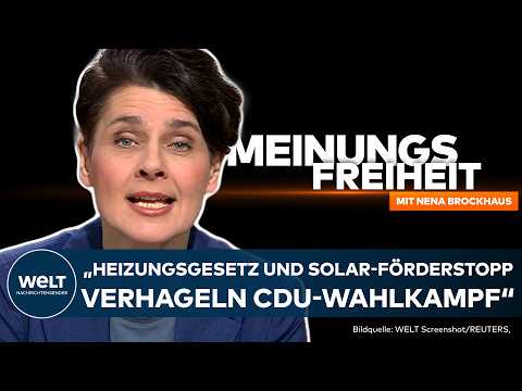MEINUNGSFREIHEIT: These Anna Lehmann „Heizungsgesetz und Solar verhageln der CDU den Wahlkampf“