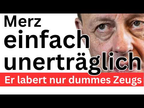 Merz Realitätsverlust ❌ Deutschland brennt ❌