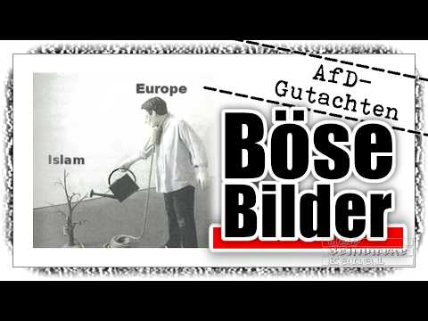 Mit Memes der AfD will der Verfassungsschutz ihren Extremismus beweisen.