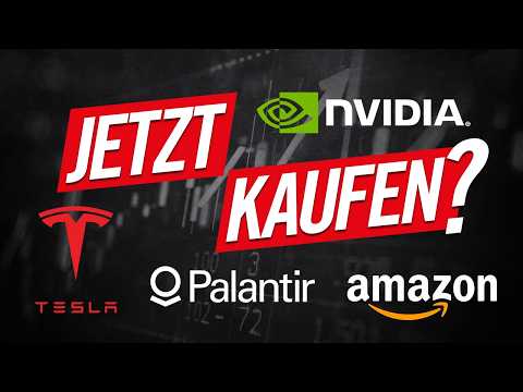 NVIDIA – Amazon – Palantir – Tesla