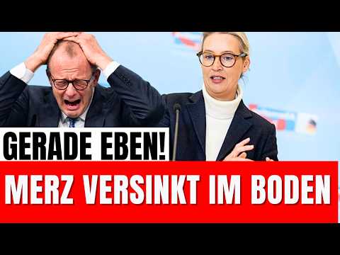Plötzlich lässt Weidel die Bombe platzen! und erklärt Live mit 12 Punkten warum Merz Scheitert