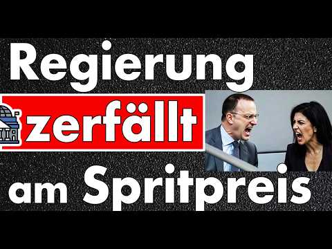 Regierung sagt Nein, Bundestag grünet Taskforce! CDU bekämpft sich selbst – Sonntag ist Wahl!