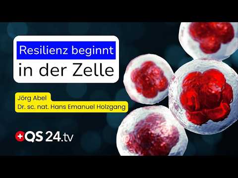 Resilienz aus der Zelle heraus: So finden Sie zurück in Ihre Kraft | Naturmedizin | QS24