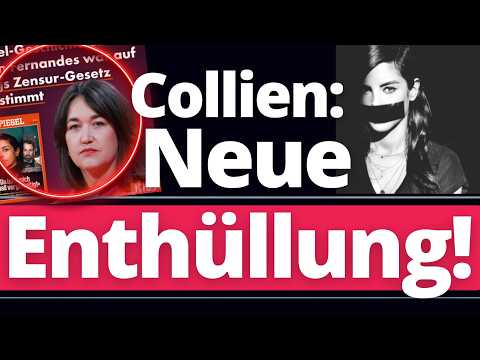 SPIEGEL gibt zu: „Collien Story war auf Hubig Gesetz ABGESTIMMT!