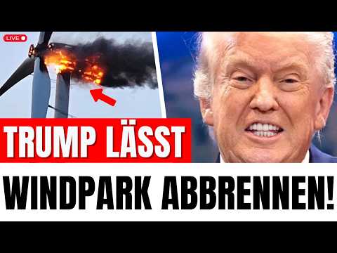 TRUMP ZAHLT 1 MILLIARDE FÜR ÖL: Windkraft-Projekte Zerstört! Klima-Agenda War Nur Show