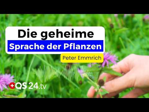 Urtinkturen & Wildkräuter: Ihr Naturheilkundelexikon für 300 Beschwerden | Naturmedizin | QS24