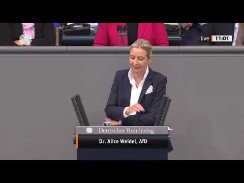 WEIDEL RASTET AUS IM BUNDESTAG! 💥 „JETZT REICHT’S!“ – KNALLHARTE ABRECHNUNG MIT DER REGIERUNG!