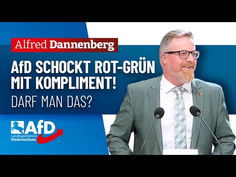 AfD schockt Rot-Grün mit einem Kompliment! – Alfred Dannenberg (AfD)