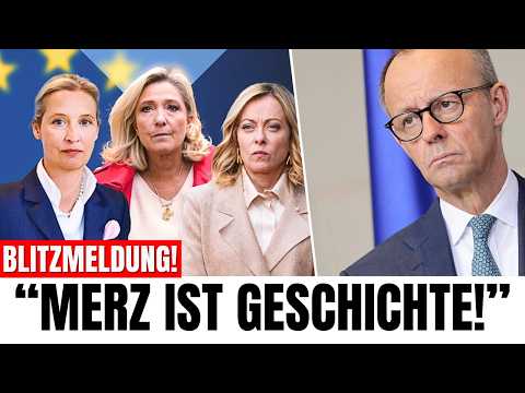 AFD Veröffentlicht Plötzlich „MERZ zerstören nur unsere Wirtschaft!“ AfD hat Recht!