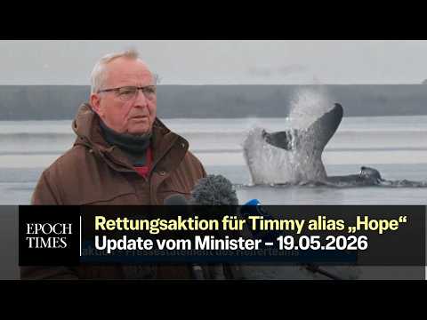 „Arbeiten so flexibel wie möglich“: Umweltminister Backhaus zur Rettungsaktion Wal Timmy Hope