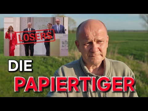 DIE PAPIERTIGER SICHERN EINE FREIE STRAßE 😉