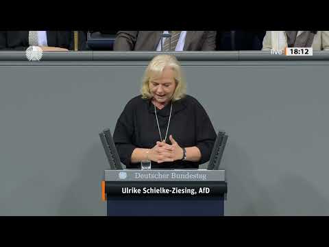 💥 ALLE 4 JAHRE DAS GLEICHE CHAOS?! WAHLEN – UND AM ENDE WIEDER FRUST! 💥 AFD