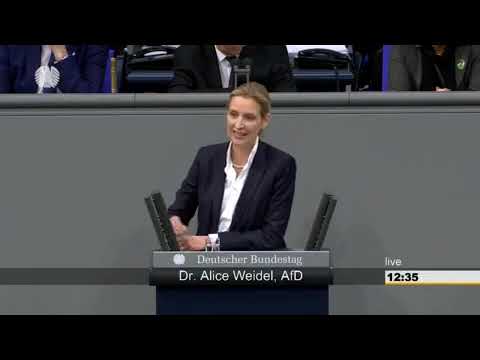 💥 DRAMA IM BUNDESTAG! 😡 WEIDEL HEFTIG ANGEGANGEN – SKANDAL-ALARM IM PLENUM!