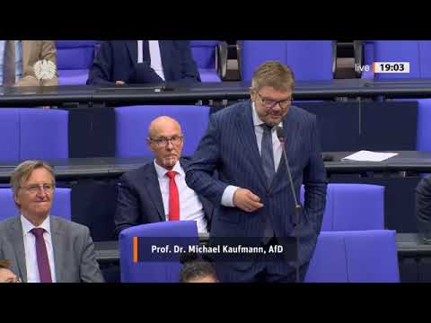 💥 „RASSISTISCHE FÖRDERUNGEN?!“ 😳 Michael Kaufmann STELLT BRISANTE FRAGEN IM Bundestag 💥