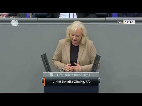 😱 ARBEITS-DRAMA IN DEUTSCHLAND! STRESS – WER HILFT DEN BESCHÄFTIGTEN? 😱 Schielke Ziesing  AfD