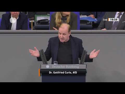 🚨 Streit um Integrationspolitik! Grüne setzen Schwerpunkte – AfD geht auf Konfrontation