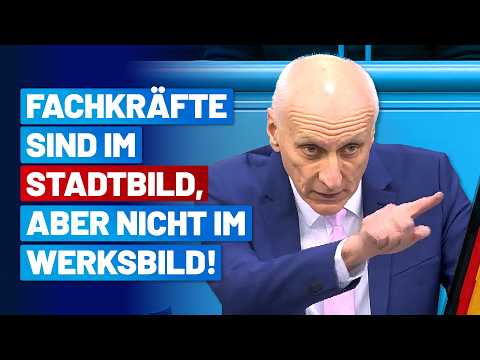 Fachkräfte kommen: wertvoller als Gold – doch nur ein Versprechen! Uwe Schulz – AfD-Fraktion
