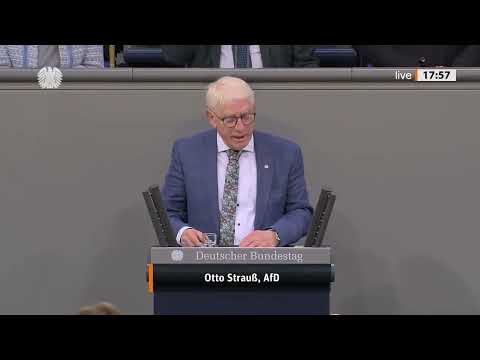 FINANZ-IDEEN IN DER KRITIK! Otto Strauß attackiert Vorschlag der Linken im Bundestag