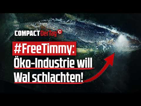 #FreeTimmy: Öko-Industrie will Wal schlachten!💥 #FreeTimmy: Öko-Industrie will Wal schlachten!💥