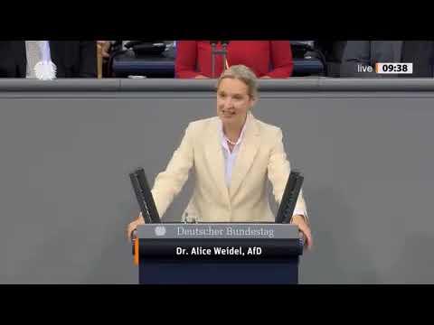 GEGRÖHLE IM BUNDESTAG! 💥Alice Weidel attackiert Friedrich Merz – DEUTSCHLAND IST AM ENDE