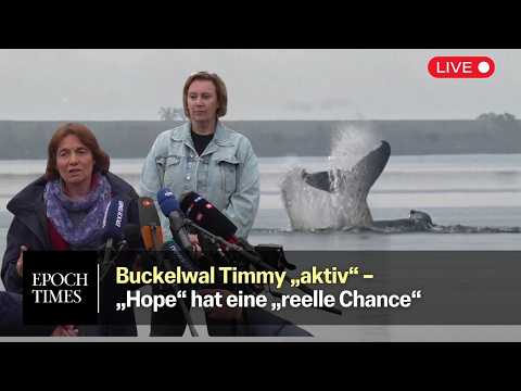 Helferteam gibt Pressekonferenz zu aktuellen Stand von Wal Timmy, alias „Hope“ – „jede Minute zählt“