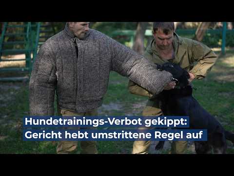 Hundetrainings-Verbot gekippt: Gericht hebt umstrittene Regel auf