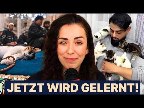 Islamisten missbrauchen Katzen – das geht schief