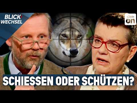 Jäger vs. Tierschützerin: Den Wolf schießen oder schützen? | BLICKWECHSEL Jäger vs. Tierschützerin: Den Wolf schießen oder schützen? | BLICKWECHSEL