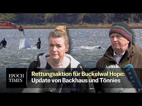 Minister Backhaus: „Es ist ein Bulle“ – Tönnies: Bergung von Timmy-Hope wohl Dienatsg oder Mittwoch