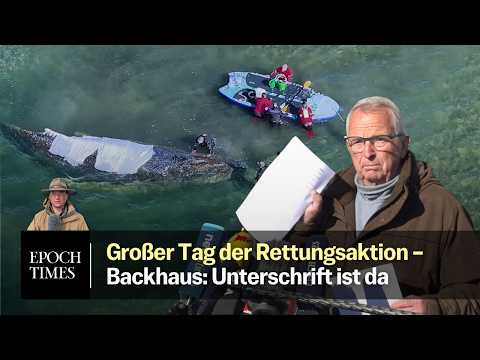 Minister Backhaus gibt grünes Licht: „Der Wal ist transportfähig“ – Großer Tag für Timmy-Hope