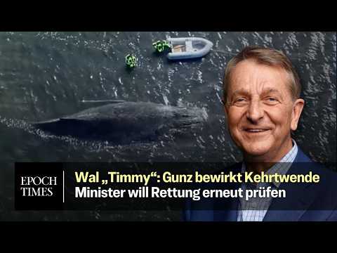 Minister Backhaus will Rettungsaktion für Wal „Timmy“ erneut prüfen