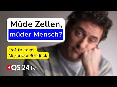 Mitochondrien – Die Energiequelle für ein langes Leben | Naturmedizin | QS24
