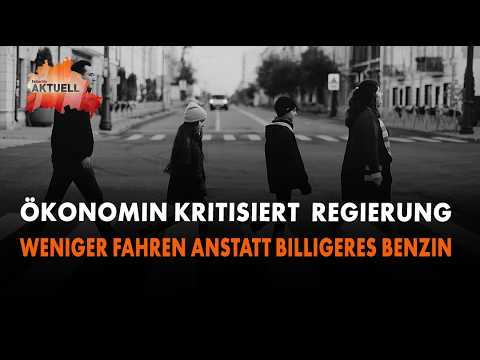 Monika Schnitzer: Weniger fahren anstatt biligeres Benzin