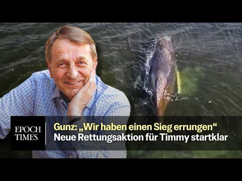 Neue Rettungsaktion für Wal Timmy – Ministerium gibt „grünes Licht“ Neue Rettungsaktion für Wal Timmy – Ministerium gibt „grünes Licht“