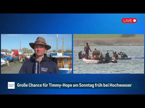 Rettungsaktion für Buckelwal Timmy-Hope: Big Bags sind ausgeladen – wie geht es weiter?