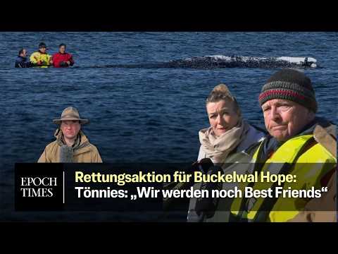 Rettungsaktion für Timmy-Hope – Backhaus: Wal wird „nicht von heute auf morgen sterben“