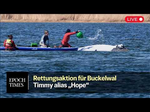 Rettungsaktion für Timmy-Hope: Offenbar grünes Licht für neues Rettungskonzept
