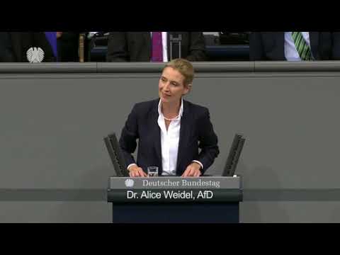 SCHOCK-AUSSAGE VON ALICE WEIDEL! 🔥„STAATS-FINANZIERUNG DURCH DIE ZENTRALBANK? UNMÖGLICH!“ 💥