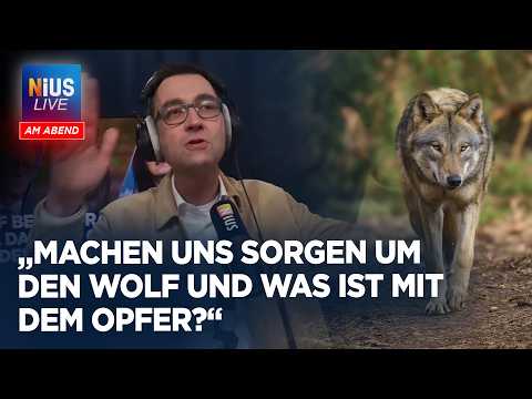 Sollte man Wölfe töten, die auf Menschen losgehen? | NIUS Live am Abend vom 1. April 2026