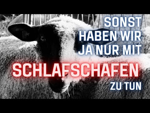 Statt Schlafschafe: Besuch bei Schafzüchtern und immer wieder Bürokratie! Schluss damit