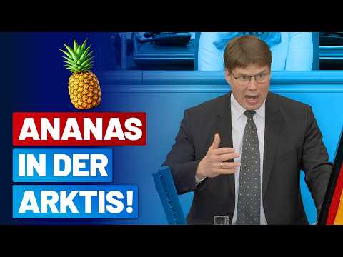 Steffen Kotré zur Änderung des Energiewirtschaftsgesetzes! – AfD-Fraktion im Bundestag