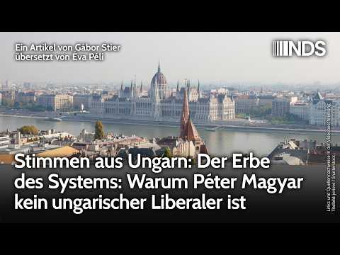 Stimmen aus Ungarn: Der Erbe des Systems: Warum Péter Magyar kein ungarischer Liberaler ist